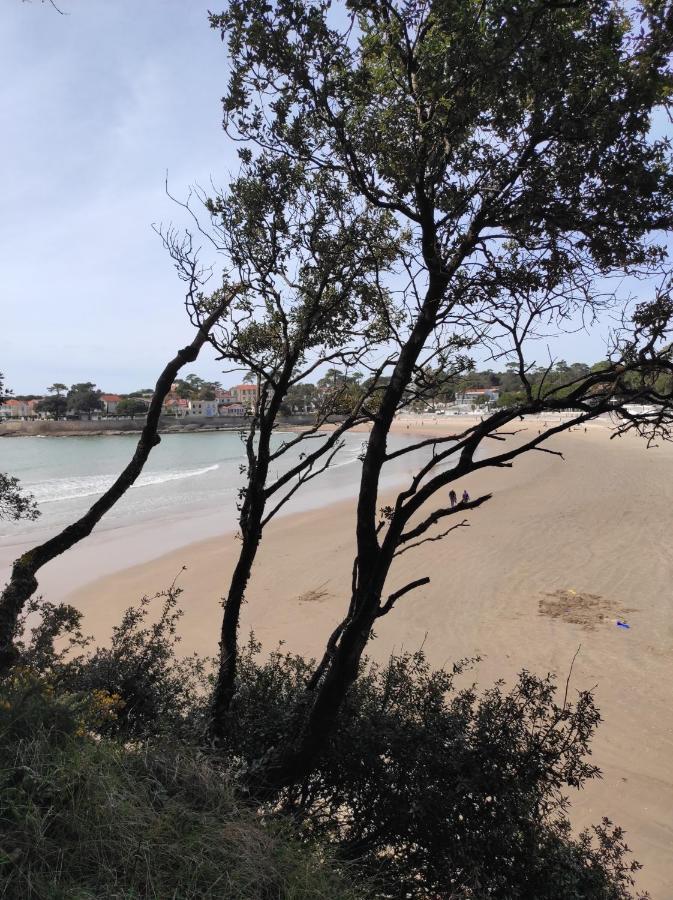 A L'Abordage, Appartement 2 Pieces Plage De Nauzan Vaux-sur-Mer Eksteriør bilde